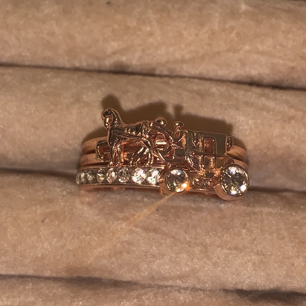 Coach 3 ring horse carriage set